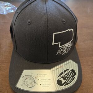 Gray Flexfit Cap with Embroidered Design